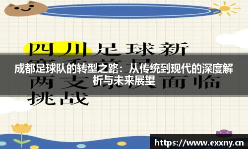 成都足球队的转型之路：从传统到现代的深度解析与未来展望
