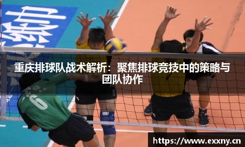 重庆排球队战术解析：聚焦排球竞技中的策略与团队协作